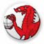 Welsh petanque association Logo